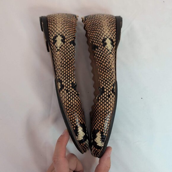 Chloé Snakeskin Embossed Lauren Ballet Flats - Picture 7 of 10